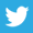 Twitter Icon